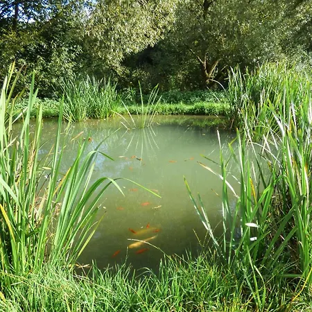 דירה Ferienpark Schwarzholz וייכטאך